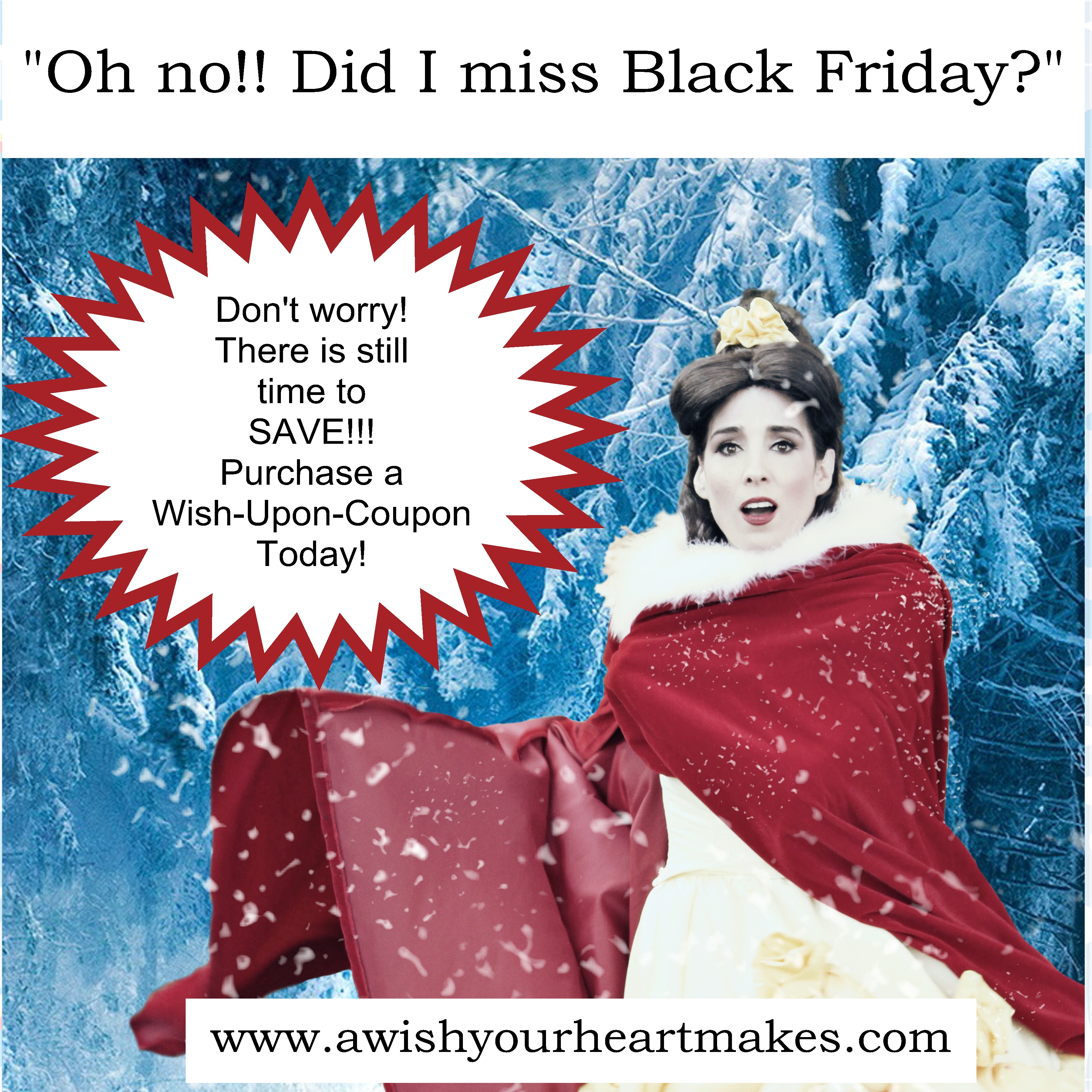 Wish Upon Coupon, www.aWishYourHeartMakes.com, fairytale parties, Central Valley and Central Coast, California