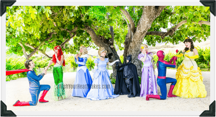 Princess and Superhero parties, Central Coast and Central Valley, California