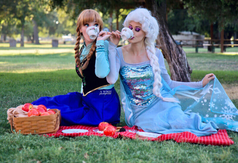 elsa and anna frozen picnic web