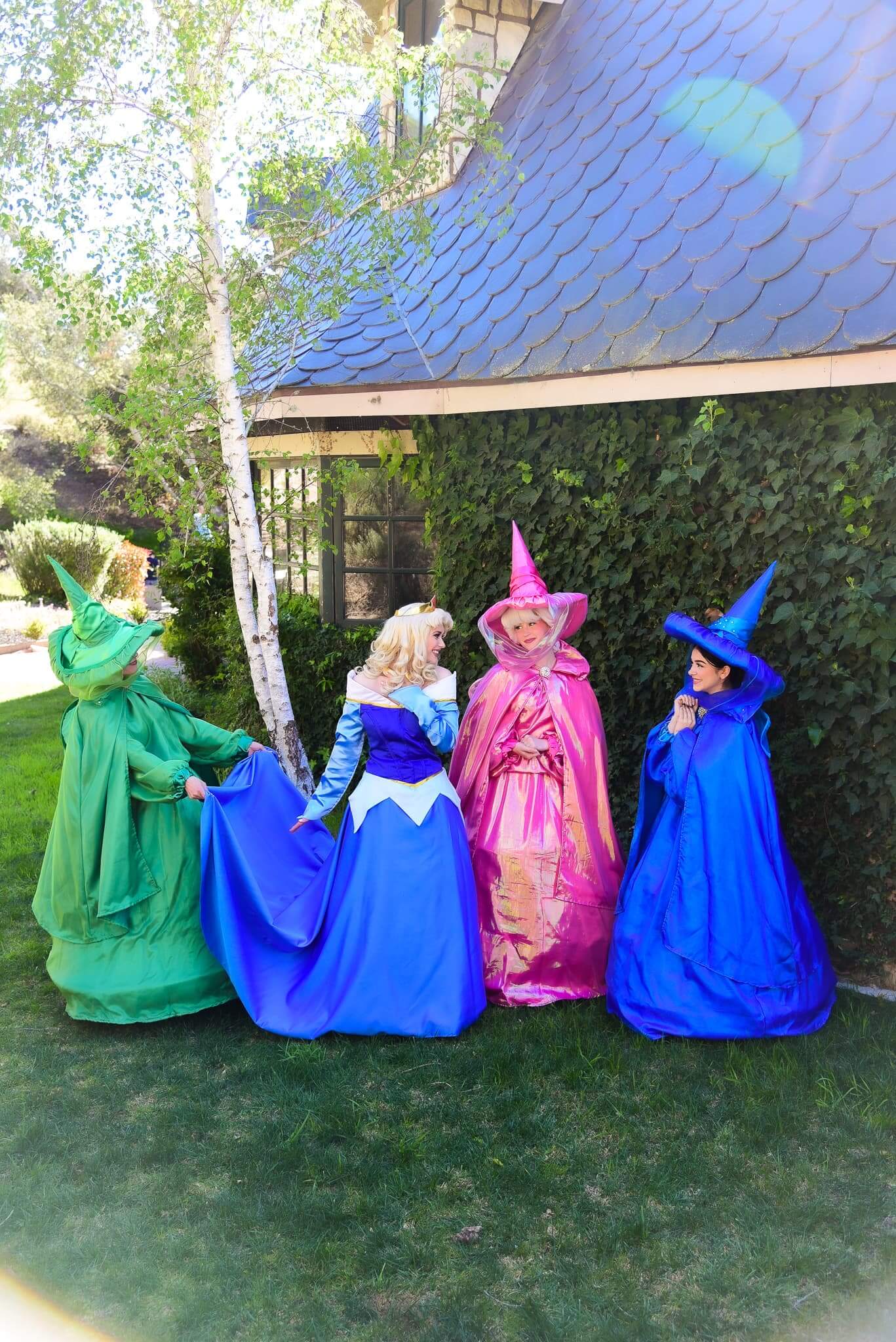 Sleeping Beauty Aurora and Fairy Godmothers