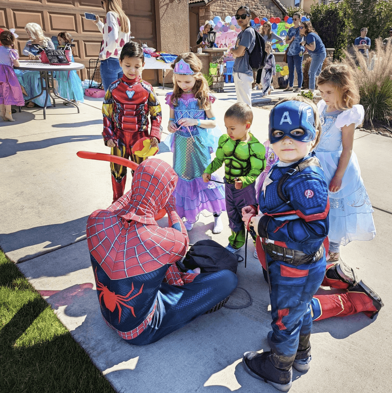 spiderman and elsa superhero princess party