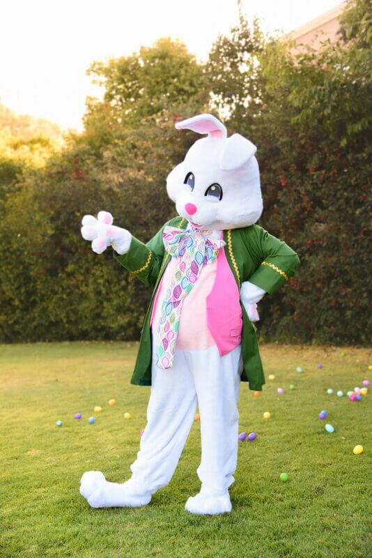 easter bunny from A Wish Your Heart Makes