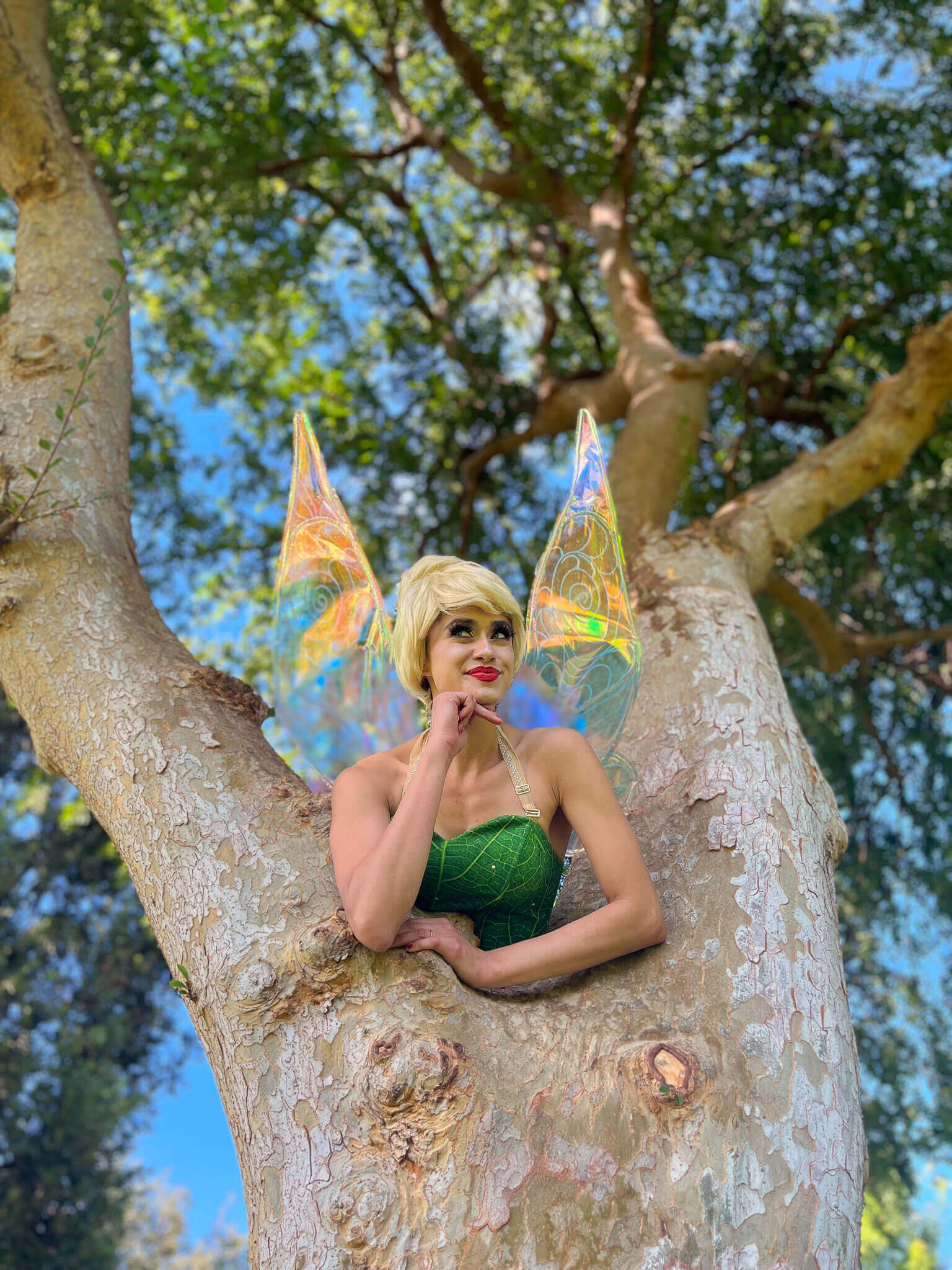 tink and friends in the park (2)