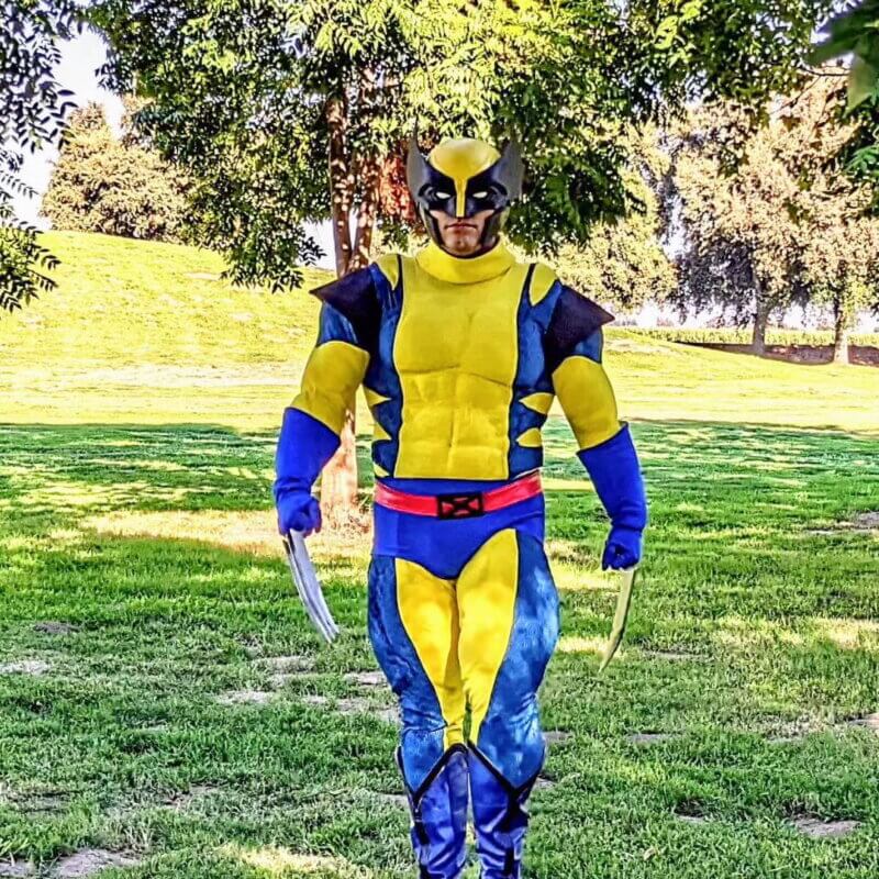 Wolverine in a park